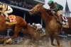 Horse Racing Picks Churchill Downs
