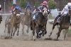 Horse Racing Picks Churchill Downs