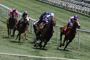 Horse Racing Picks Santa Anita