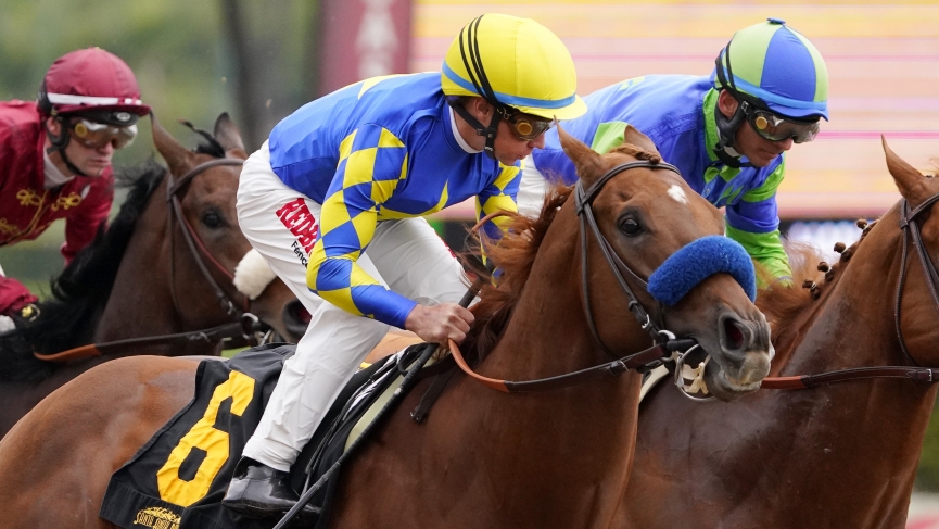 Memorial Day 2020 Horse Racing Picks 1 Horse Racing Picks Memorial Day Santa Anita