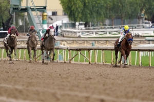 Horse Racing Picks Dennis Garcia