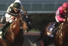 Horseracing picks Gulfstream Park