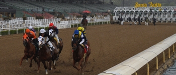 Horse Racing Picks Santa Anita