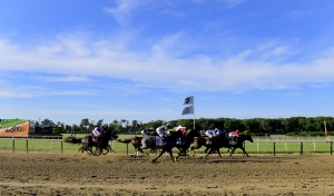 Churchill and Belmont Predictions for Friday June 5, 2020 2 Churchill and Belmont Predictions