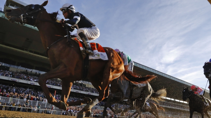 Best Bets For Today's Belmont & Gulfstream Races 1 Ellis Park picks and a Del Mar Best Bet