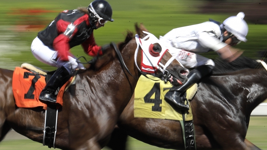 Horse Racing Predictions Dennis Garcia