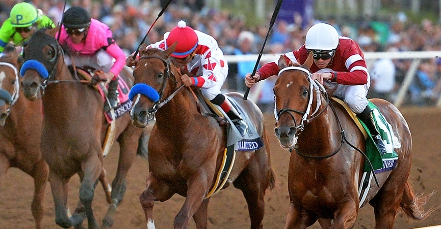 horse racing picks