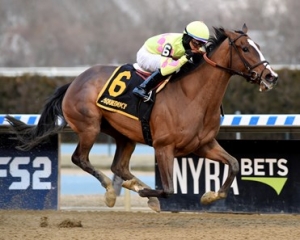 horse racing picks