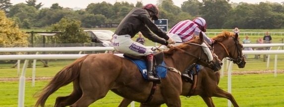 Woodbine Picks & Ellis Park Predictions: Sunday Horses! 1 Horse racing picks Belmont and Woodbine