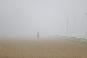 Saratoga Picks and Woodbine Best Bet July 16, 2020 2 Horse Racing Picks and Best Bets