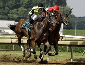 Saratoga Picks and Indiana Grand Best Bet Aug 5, 2020 4 Saratoga Picks and Indiana Downs Best Bet