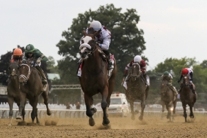 Travers Stakes PIcks and Predictions