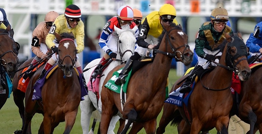 Saratoga Predictions and a Woodbine Best Bet August 21, 2020 1 Saratoga Predictions and Woodbine Best Bet August 21