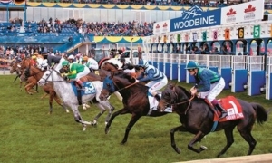 Saratoga Predictions and Woodbine Best Bet August 21