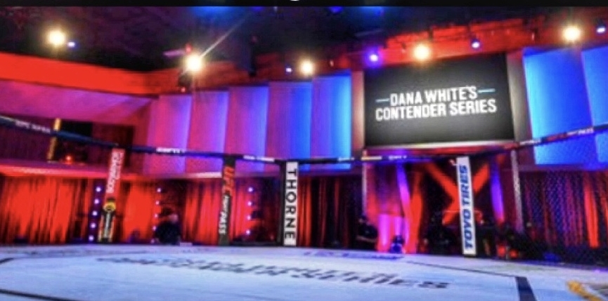 UFC 252 Picks and Predictions Dana White's Contender Series 4 Episode 2 1 Dana White's Contender Series 4 Episode 2 Picks