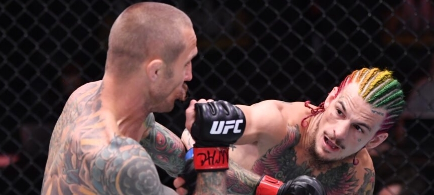 Sean O'Malley vs. Marlon Vera Prediction and Underdog Best Bets #ufc252 1 UFC 252 Picks and Best Bets