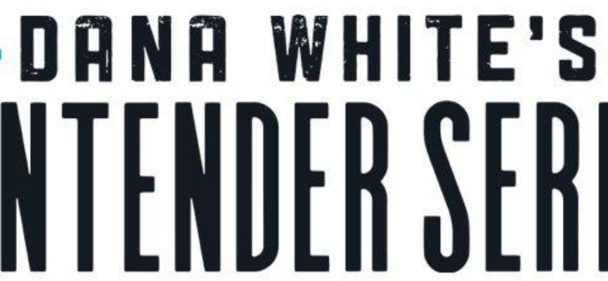 Dana White Contender Series Season 4 Episode 3 Picks