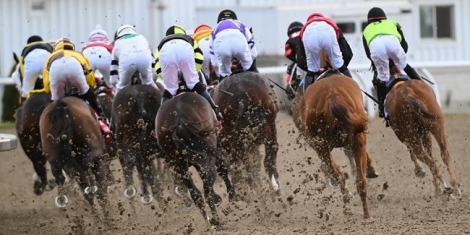 2020 Woodbine Mile Stakes Free Pick Handicapping Odds Prediction1