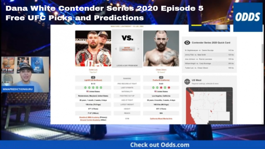 Dana White Contender Series Episode 5 picks