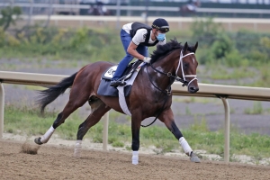 Woodbine Picks for Sunday 9/13 2 Woodbine Picks for Sunday 9/13