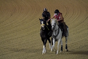 Kentucky Downs Picks - 9/15/20 2 Kentucky Downs Picks - 9/15/20