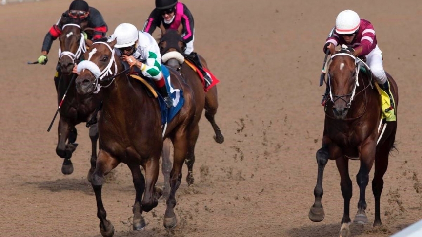 Pony Picks: Woodbine and Belmont plays for Thursday 9/24 1 Woodbine 1