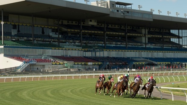 Pony Picks: Churchill, Woodbine and Gulf Stream plays for Thursday 1 Woodbine
