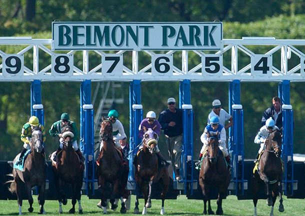 Pony Picks 10/24: Laurel and Belmont 1 Belly