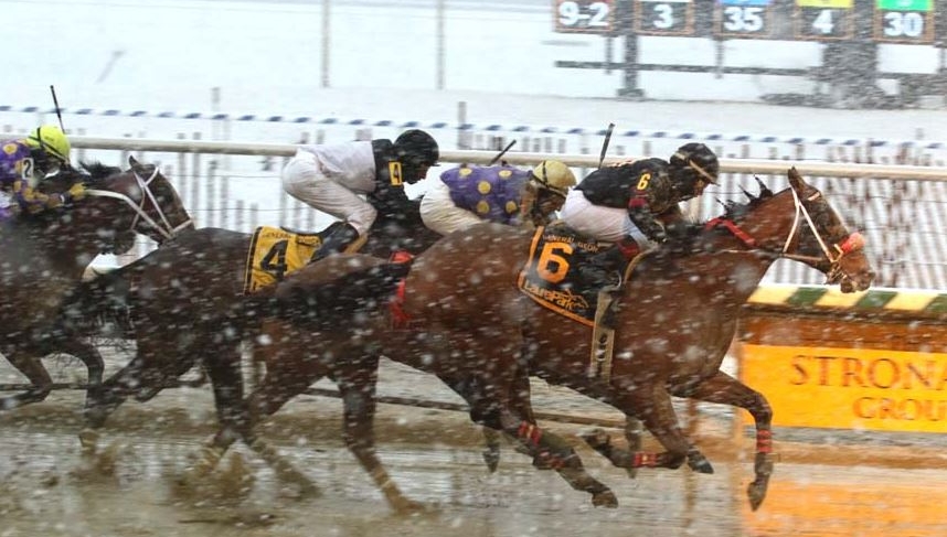 Pony Picks 10/23: Laurel, Belmont and Woodbine 1 Laurel