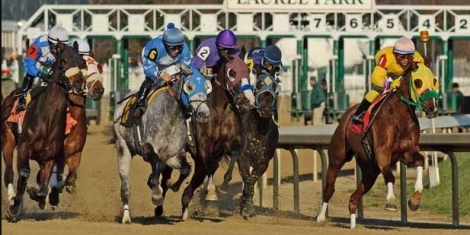 LaurelPark