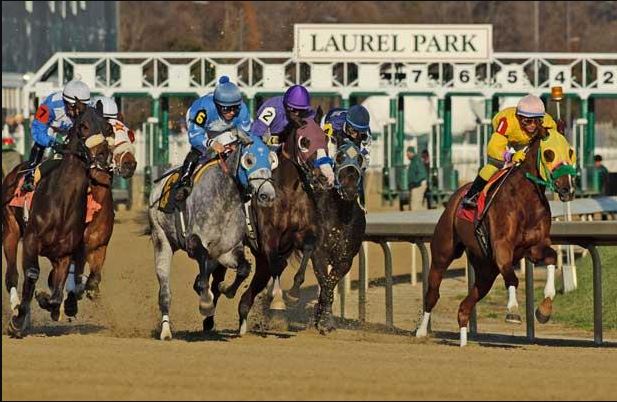 Pony Picks 10/30: Laurel, Churchill and Belmont 1 LaurelPark