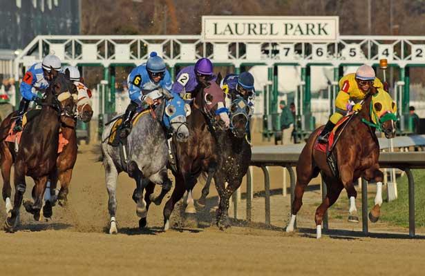 Pony Picks 10/9: Laurel, Keeneland and Santa Anita Plays 1