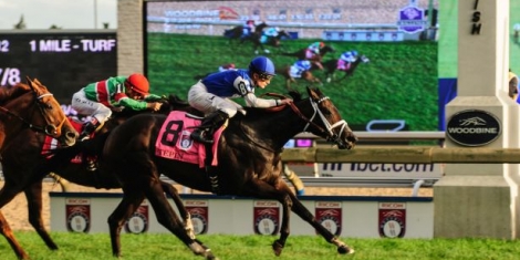 Tepin Woodbine Mile 2016 2 615x400 orig