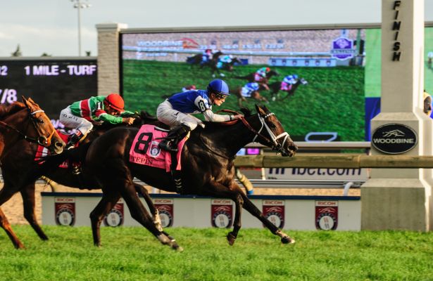 Pony Picks 10/15: Keeneland and Woodbine 1