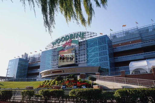 Pony Picks 10/10: Woodbine and Keeneland Plays 1 woodbine101020