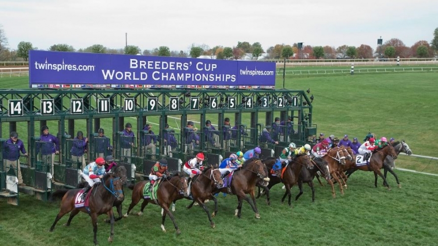 Pony Picks: Breeders Cup Friday 1 BCCCCC