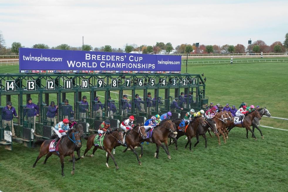 Breeders Cup Picks for Nov. 7th