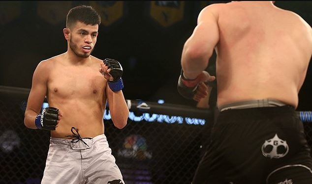 UFC 255 Underdog Best Bets: Brandon Moreno vs Brandon Royval 1 Brandon Moreno vs Brandon Royval Pick