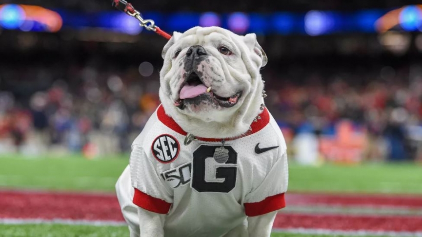 Saturday College Football Picks: Week 15 1 Georgia Bulldogs Odds