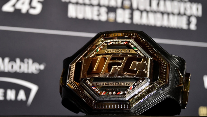Beginners Guide to Betting the UFC 1 UFC Betting