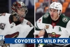Arizona vs Wild